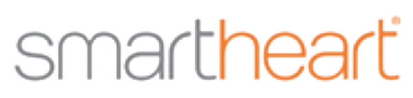 strategic partner